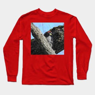 Wildlife gifts, acorn woodpecker, birds, nature Long Sleeve T-Shirt